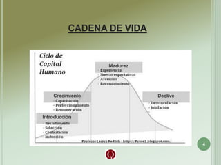 CADENA DE VIDA
4
 