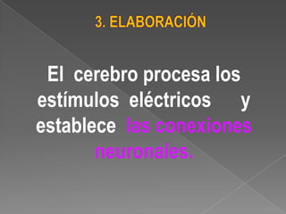 ETAPAS DEL APRENDIZAJE1. PREPARACIÓNProvee un marco para el nuevo aprendizaje.