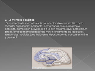 La comunicación.LA ATENCIÓNMediante los sistemas que nuestro cerebro posee para regular la atención, los objetos y acontecimientos externos (visuales, auditivos, etc.) primero evocan o llaman nuestra atención, haciendo que nos orientamos hacia algo concreto y nos desentendamos (nos desenganchemos) de los demás estímulos; así estamos preparados para captar el mensaje que nos llega. En una segunda fase, si ese acontecimiento o mensaje continúan y consideramos que vale la pena seguir recibiéndolos, ponemos de nuestra parte y mantenemos la atención, la prestamos (incluso, a veces, decimos que "ponemos los cinco sentidos"). Y si nos interesa en grado superlativo, nuestra atención se enfrasca en el objeto. 