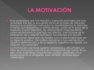 1.- La memoria a corto plazo u operacional:Nos permite mantener la información durante un máximo de 30 segundos; se utiliza para retener la información según nos va llegando con el fin de realizar con ella actividades cognitivas básicas e inmediatas (comprensión, razonamiento, cálculo). Su capacidad es limitada (¿cuántos dígitos o palabras seguidas retienes?) pero ha de ser fácilmente accesible para que el razonamiento y el pensamiento sean fluidos.