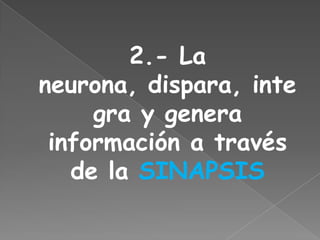 KARINA OROZCO¿CÓMO APRENDE EL CEREBRO?1.- El aprendizaje comienza a nivel celular: LA NEURONA.