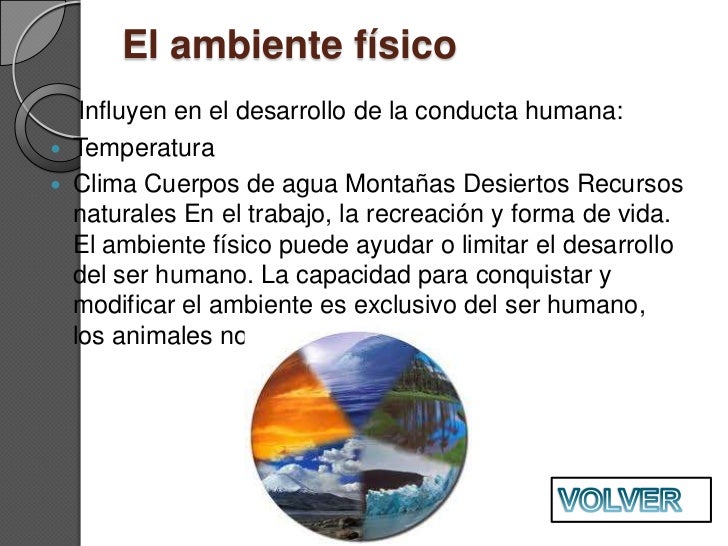 Desarrollo de personalidad