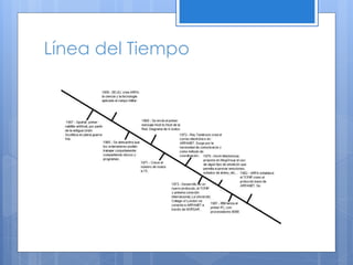 Línea del Tiempo  