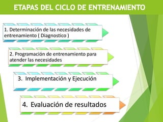 1. Determinación de las necesidades de
entrenamiento ( Diagnostico )
2. Programación de entrenamiento para
atender las necesidades
3. Implementación y Ejecución
4. Evaluación de resultados
 