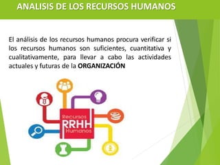 ANALISIS DE LOS RECURSOS HUMANOS
El análisis de los recursos humanos procura verificar si
los recursos humanos son suficientes, cuantitativa y
cualitativamente, para llevar a cabo las actividades
actuales y futuras de la ORGANIZACIÓN
 