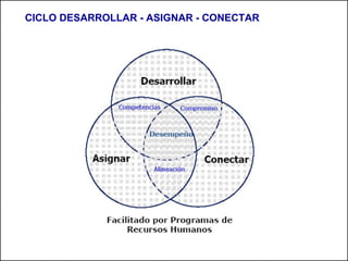 CICLO DESARROLLAR - ASIGNAR - CONECTAR 