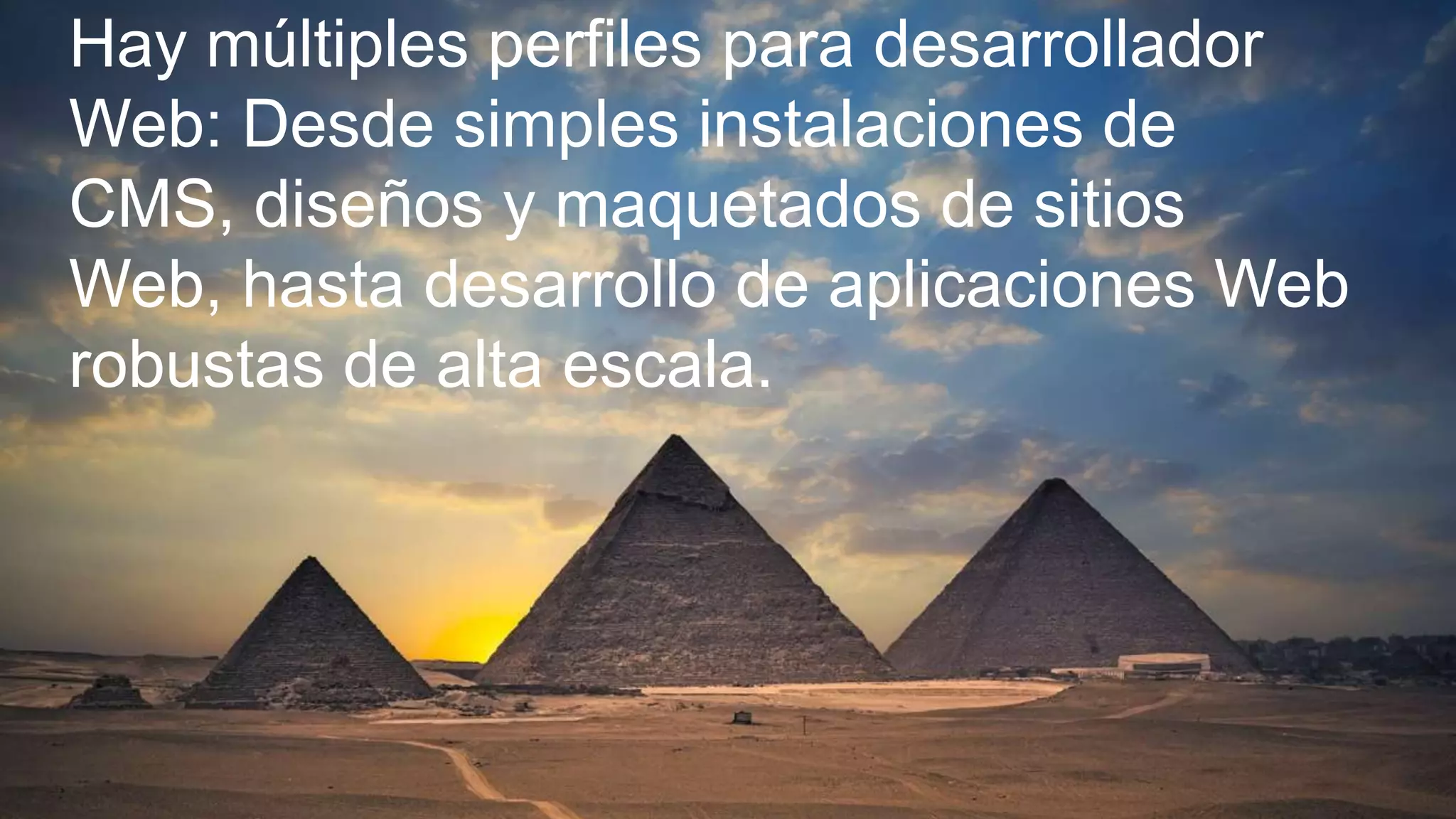 Hay múltiples perfiles para desarrollador
Web: Desde simples instalaciones de
CMS, diseños y maquetados de sitios
Web, hasta desarrollo de aplicaciones Web
robustas de alta escala.
 
