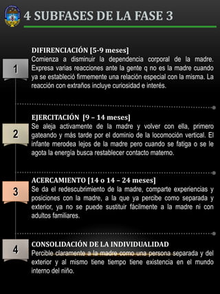 1
2
3
4
DIFIRENCIACIÓN [5-9 meses]
Comienza a disminuir la dependencia corporal de la madre.
Expresa varias reacciones ante la gente q no es la madre cuando
ya se estableció firmemente una relación especial con la misma. La
reacción con extraños incluye curiosidad e interés.
EJERCITACIÓN [9 – 14 meses]
Se aleja activamente de la madre y volver con ella, primero
gateando y más tarde por el dominio de la locomoción vertical. El
infante merodea lejos de la madre pero cuando se fatiga o se le
agota la energía busca restablecer contacto materno.
ACERCAMIENTO [14 o 14 – 24 meses]
Se da el redescubrimiento de la madre, comparte experiencias y
posiciones con la madre, a la que ya percibe como separada y
exterior, ya no se puede sustituir fácilmente a la madre ni con
adultos familiares.
CONSOLIDACIÓN DE LA INDIVIDUALIDAD
Percible claramente a la madre como una persona separada y del
exterior y al mismo tiene tiempo tiene existencia en el mundo
interno del niño.
4 SUBFASES DE LA FASE 3
 