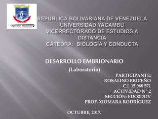 DESARROLLO EMBRIONARIO
(Laboratorio)
PARTICIPANTE:
ROSALINO BRICEÑO
C.I. 15 968 571
ACTIVIDAD Nº 2
SECCIÓN: EDO2DOV
PROF. XIOMARA RODRÍGUEZ
OCTUBRE, 2017.
 