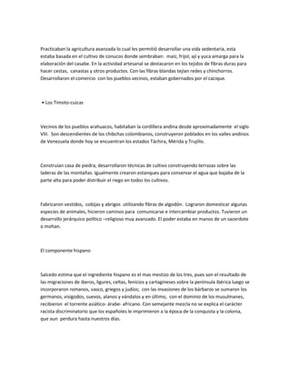 Practicaban la agricultura avanzada lo cual les permitió desarrollar una vida sedentaria, esta
estaba basada en el cultivo de conucos donde sembraban: maíz, frijol, ají y yuca amarga para la
elaboración del casabe. En la actividad artesanal se destacaron en los tejidos de fibras duras para
hacer cestas, canastas y otros productos. Con las fibras blandas tejían redes y chinchorros.
Desarrollaron el comercio con los pueblos vecinos, estaban gobernados por el cacique.
• Los Timoto-cuicas
Vecinos de los pueblos arahuacos, habitaban la cordillera andina desde aproximadamente el siglo
VIII. Son descendientes de los chibchas colombianos, construyeron poblados en los valles andinos
de Venezuela donde hoy se encuentran los estados Táchira, Mérida y Trujillo.
Construían casa de piedra, desarrollaron técnicas de cultivo construyendo terrazas sobre las
laderas de las montañas. Igualmente crearon estanques para conservar el agua que bajaba de la
parte alta para poder distribuir el riego en todos los cultivos.
Fabricaron vestidos, cobijas y abrigos utilizando fibras de algodón. Lograron domesticar algunas
especies de animales, hicieron caminos para comunicarse e intercambiar productos. Tuvieron un
desarrollo jerárquico político –religioso muy avanzado. El poder estaba en manos de un sacerdote
o mohan.
El componente hispano
Salcedo estima que el ingrediente hispano es el mas mestizo de los tres, pues son el resultado de
las migraciones de iberos, ligures, celtas, fenicios y cartagineses sobre la península ibérica luego se
incorporaron romanos, vasco, griegos y judíos; con las invasiones de los bárbaros se sumaron los
germanos, visigodos, suevos, alanos y vándalos y en último, con el dominio de los musulmanes,
recibieron el torrente asiático- árabe- africano. Con semejante mezcla no se explica el carácter
racista discriminatorio que los españoles le imprimieron a la época de la conquista y la colonia,
que aun perdura hasta nuestros días.
 