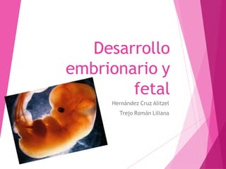 Desarrollo
embrionario y
fetal
Hernández Cruz Alitzel
Trejo Román Liliana
 