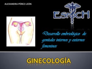 Desarrollo embriológico de
genitales internos y externos
femeninos
 