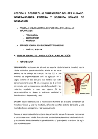 LECCIÓN II: DESARROLLO EMBRIONARIO DEL SER HUMANO. GENERALIDADES. PRIMERA Y SEGUNDA SEMANA DE GESTACIÓN<br />PRIMERA Y SEGUNDA SEMANA. DESPUES DE LA OVULACIÓN A LA IMPLANTACIÓN<br />FECUNDACIÓN <br />SEGMENTACIÓN<br />ANIDACIÓN<br />SEGUNDA SEMANA. DISCO GERMINATIVO BILAMINAR<br />PERÍODO LACULAR<br />A.  PRIMERA SEMANA. DE LA OVULACIÓN A LA IMPLANTACIÓN<br />FECUNDACIÓN<br />FECUNDACIÓN: fenómeno por el cual se unen la célula femenina (ovocito) con la célula masculina (espermatozoide) ocurre en el tercio externo de la Trompa de Falopio. De los 200 a 300 millones de espermatozoides que se eyaculan en la vagina durante el acto sexual y que tendrán que subir aproximadamente unos 18 cm. avanzando de 2 a 3 mm por minuto, solo se requiere uno para la fecundación y los restantes ayudarán a que esto ocurra. Si los espermatozoides no tienen la suficiente movilidad el folículo ovárico degenerará y caerá.<br />OVARIO: órgano esencial para la reproducción humana. En el ovario se fabrican los folículos ováricos y una vez maduros, rompe la superficie externa del ovario y sale (período). Luego se regenera, y así sucesivamente<br />Cuando el espermatozoide fecundante toca el ovocito, se une firmemente y comienza a introducirse en su interior, fusionándose su membrana plasmática con la del ovocito y modificando inmediatamente su permeabilidad, lo que impedirá la entrada de algún otro espermatozoide<br />Es el punto inicial del embarazo. Ocurre en el interior del aparato reproductor femenino tras el coito o cópula. Consiste en la fusión del espermatozoide con el ovocito para 4686300203835formar una única célula llamada zigoto.<br />El futuro embrión saldrá de la fusión de dos células, el progameto masculino y el progameto femenino. La unión de estos dos progametos determinará el futuro del embrión, la célula masculina penetra en el interior de la femenina y allí se formará una única célula.<br />El núcleo del ovocito contiene 22 cromosomas más un cromosoma sexual quot;
Xquot;
 (22X). El núcleo del espermatozoide contiene 22 cromosomas más un cromosoma sexual que puede ser quot;
Xquot;
 o quot;
Yquot;
 (22X o 22Y). <br />Después de la penetración del espermatozoide al ovocito, ocurrirá la fusión de los núcleos femenino y masculino, lo que producirá un quot;
cigotoquot;
 con dos células iguales 3771900217805conteniendo cada una de ellas el mismo número de cromosomas: 44 XX (una niña) o 44 XY (un varón). Esto ocurre en las primeras 30 horas después de la fecundación. <br />Por lo tanto, al ocurrir la fecundación de la célula femenina, el sexo del bebé ya ha quedado determinado por el cromosoma sexual del espermatozoide que penetró.<br />El folículo ovárico durante esta etapa deberá ser expulsado al exterior atravesando la trompa uterina, la última estribación se llama cimbria, está en continuo movimiento, todo se mueve dentro de la cavidad pelviana, cuando la célula madura es expulsada y durante cierto tiempo permanece flotando en la cavidad pelviana, si ésta no es succionada caerá y morirá.<br />Fases<br />Fase I: los espermatozoides se abren paso a través de la corona radiante, liberando el contenido de su acrosoma y las enzimas destruyen la corona radiante.<br />Fase II: el espermatozoide elegido rompe la membrana en una zona, penetrando en la zona pelúcida<br />Fase III: un espermatozoide atraviesa la membrana del ovocito y pierde su propia membrana plasmática. Fusión de las membranas celulares del ovocito y del espermatozoide.<br />Desde el día 1 hasta la fecundación pasan 14 días del ciclo menstrual, por eso se cuentan todos los embarazos con + - 14 días, todas las cuentas llevan dos semanas de decalaje.<br />SEGMENTACIÓN<br />Una vez que se ha llegado a esta fase, pasadas entre 24-48 horas, las células experimentan una serie de divisiones que aumentan rápidamente el número de células aunque disminuyen de tamaño. <br />Los dos elementos empiezan a sufrir una transformación (pronúcleo masculino y femenino, el espermatozoide avanza hasta quedar cerca del pronúcleo, el núcleo se hincha y forma en pronúcleo masculino)<br />Los cromosomas se disponen en el huso, preparándose para una división mitótica. Los 23 cromosomas maternos y paternos se dividen longitudinalmente en el centrómero y las cromátidas se desplazan hacia los polos opuestos, así cada zigoto tiene un número diploide normal de cromosomas y la cantidad normal de ADN. Mientras que las cromátidas hermanas se deslazan a los polos, apareciendo un surco en la célula que la divide en dos partes, a cada una de estas partes se le va a denominar blastómero <br />Las dos primeras células son las llamadas células madre o técnicamente células troncales, cuando hayan más de dos ya no recibirán ese nombre, éstas células poseen la capacidad de trasformarse cada una de ellas en un solo embrión, teóricamente cada célula puede dar cualquier o un todo corporal, esta fase dura de 14-14 días, a lo largo de la fase va perdiéndose esa capacidad llamada pluripotencia, es una célula tan diferenciada que lo puede dar todo.<br />También hay células troncales adultas que son capaces de dar lugar a un corazón complejo. La segmentación continúa, ahora va a ir dividiéndose de forma exponencial, 2, 4, 8, 16, 32, 64<br />Comienza a aumentar la celularidad dentro del embrión, éste esta recubierto por una serie de capas y membranas que le acompañas durante el trayecto hasta el 6º día con el inicio de la implantación en la mucosa uterina. Son un conjunto de fibras musculares lisas, que se contraen (acortan su diámetro), esas contracciones hacen posible el transporte hacia el útero. (Crecimiento y transporte).<br />El crecimiento hace que adopte la forma de una mora (nº de células entre 16-18) y por eso se le llama mórula. Siguen siendo polipotentes.<br />MÓRULA: Masa esférica maciza de células procedente de la división del óvulo fertilizado en los primeros estadios del desarrollo embrionario. Representa una fase intermedia entre el cigoto y el blastocisto, y esta compuesta por blastómeros uniformes en cuanto a tamaño, forma y potencialidad fisiológica.<br />Llega un momento en que el continente no puede abarcar al contenido, entonces en el día 4 y medio se produce un cambio muy importante en el interior de la mórula, la aparición de una cavidad que se forma por la muerte de varias de esas células y una reorganización celular, a esa cavidad se le va a llamar blastolele<br />BLASTOCELE: Cavidad llena de líquido del blastocisto. Esta cavidad aumenta el área o superficie del embrión en desarrollo para que absorba mejor las sustancias nutritivas y el oxígeno. Cele = cavidad y blasto = hoja. (cavidad cercana a la hoja, cavidad uterina)<br />4000500153670<br />Al mismo tiempo las envolturas del embrión prácticamente desaparecen, quedando el blastocele, las células reorganizadas y un embrión sin membranas, es un período crítico porque el embrión está flotando libremente en la cavidad uterina y tiene que implantarse. A todo el conjunto se la llama blastofisto. <br />Las células más externas son más oscuras y las internas son más claras. Las células externas se les denominan masa celular externa, y a las internas masa celular interna. Cada una de estas masas va a dar lugar a 2 elementos completamente distintos<br />La masa celular externa no será embrión, no dará lugar a ningún ser y se llama trofoblasto. Trofo = nutrir.<br />TROFOBLASTO: Capa de tejido constitutiva de la pared del blastocisto en el comienzo del desarrollo embrionario. Sirve para la implantación del blastocisto en la pared uterina y para aportar elementos nutritivos al embrión. En la implantación, las células se diferencian en dos capas: el citotrofoblasto, mas profundo, que da lugar al corion, y el sincitiotrofoblasto, que da lugar a la capa superficial de la placenta. Se desarrolla al mismo tiempo que el embrioblasto.<br />Funciones del trofoblasto<br />Nos va a proporcionar el enganche con el útero<br />A partir de el van a salir una serie de membranas que nos van a cubrir parcialmente<br />Nos posibilita para nutrirnos de la mucosa uterina<br />La masa celular interna como consecuencia de la aparición del blastocele, se ha ubicado en la zona superior, ésta va a ser el embrión, en un momento dedo el blastocele se ubicará en la mucosa uterina<br />El trofoblasto cuando llega a las inmediaciones de la mucosa interina crece y 377190068580comienzan a destruirla y a penetrar en ella. Es un proceso de destrucción de la mucosa uterina, se puede producir perdidas hemáticas por se un proceso agresivo contra la madre.<br />El proceso implica que todo el blastocisto quiere introducirse en el interior de la mucosa. La mucosa le reconoce de lo contrario la implantación no tendría lugar, degeneraría y podrían aparecen pequeñas manchas de sangre en el flujo. Se habría producido un aborto submicroscopio espontáneo, ocurre en el 50% de los casos. <br />Este rechazo es debido a que el embrión tenía alteraciones o porque el endometrio (tejido que recubre el útero) no estaba con  la adecuada tasa  de hormonas <br />Problema materno<br />Selección natural<br />ANIDACIÓN<br />ANIDACIÓN: penetración del trofoblasto en el endometrio (cuando el blastocisto está dentro del epitelio), tiene lugar entre los días 7°-12°. El trofoblasto adopta una disposición en dos zonas bien diferenciadas entre sí. En el estrato orientado hada el embrioblasto (citotrofoblasto) se producen numerosas mitosis. <br />El estrato que mira al endometrio, el sincitiotrofoblasto, es de contornos irregulares con células poco diferenciadas. Esta zona es la que penetra cada vez más profundamente en el endometrio (trofoblasto lacunar), y en la especie humana alcanza los vasos sanguíneos maternos. Por tanto, las lagunas, se llenan de sangre <br />En el embrioblasto, hacia el día 7°-8° se reconocen dos capas de células: <br />El endoblasto u hoja embrionaria interna   <br />El ectoblasto u hoja embrionaria externa: De esta última hoja, se forma una cavidad amniótica que limita con el citotrofoblasto y el propio ectoblasto. Por otra parte, del endoblasto, se forma la membrana de Heuser que rodea al     citotrofoblasto   caudal   al   embrión   bilaminar, formando   el revestimiento de una nueva cavidad que se forma,  el saco vitelino primitivo. <br />Así, el disco embrionario bilaminar (ectoblasto y endoblasto) se encuentra entre la cavidad amniótica y el saco vitelino. Hacia el 9° día, al penetrar y quedar encapsulado el embrión en el útero totalmente, la rotura previa del epitelio endometrial se tapona provisionalmente por un coágulo de fibrina cubriéndose  posteriormente por células del endometrio, de manera qué el embrión se encuentra definitivamente dentroquot;
, de la mucosa uterina. Ha finalizado la implantación. Posteriormente se formar el saco vitelino secundario (13° día del desarrollo) (Fig.2b). <br />B.  SEGUNDA SEMANA. DISCO GERMINATIVO BILAMINAR<br />En el día 8 el blastocisto se adhiere a la mucosa uterina, el trofoblasto es digerido por el endometrio. En este estadio el trofoblato se dividirá en dos capas una mononucleada situada en la parte externa denominada sincitiotrofoblasto y una miltinucleada situada en la parte interna llamada citotrofoblasto.<br />La pared interna del útero se llama endometrio y es la superficie receptora del blastocisto. El blastocisto intenta entrar en el endometrio y las células del trofoblasto empiezan a diferenciarse. Se dividen en dos poblaciones celulares<br />CITOTROFOBLASTO: Recubrimiento celular interno del trofoblasto en el estadio embrionario precoz, que da lugar a la superficie externa y a las vellosidades del corion.<br />En el embrioblasto se diferencian dos capas:<br />Hipoblasto: capa de células cúbicas pequeñas adyacentes a la cavidad del blastocisto. Capa inferior (amnios, tiene el líquido amniótico y nutre el epiblasto)<br />Epiblasto: capa de células cilíndricas altas adyacentes a la cavidad amniótica. Capa externa primordial del blastocisto o la blástula, anterior a la diferenciación de las capas germinales que da lugar al ectodermo y contiene células capaces de formar el endodermo y el mesodermo. Capa superior (situada en la cavidad exocelómica y nutre a la capa hipoblástica 8º día)<br />SINTICIOTROFOBLASTO: Capa sincitial externa del trofoblasto de las primeras fases del embrión del mamífero que erosiona la pared uterina durante la implantación y da lugar a la aparición de las vellosidades placentarias. Erosiona la mucosa y entra en contacto con los vasos maternos y establecen contacto por las lagunas trofoblásticas. La sangre materna empieza a llegar al trofoblasto y lo nutre <br />El tejido comienza a crecer y nos separa el trofoblasto del embrioblasto para que cada uno forme su compartimento, a ese tejido se le va a llamar mesodermo extraembrionario (11 día). Su vida no es muy larga, una vez hechos los dos compartimentos el mesodermo va casi a desaparecer, se van muriendo sus células y su licua su contenido<br />Por lo general se encuentran figuras mitóticas en el cito, pero nunca en el sincitio, lo que indicará que las células trofoblásticas se dividirán en cito y después emigrarán al sinticio donde se fusionarán perdiendo su membrana celular individual. Las células del citotrofoblasto se introducen en el sinticiotrofoblasto, formando columnas celulares que reciben el nombre de vellosidades primarias (11º día)<br />Las células de cada una de estas capas germinativas va a formar un disco plano denominado disco germinativo bilaminar<br />Al mismo tiempo, en el interior del epiblasto aparece una pequeña cavidad, que después se agrandará para convertirse en la cavidad amniótica. Las células epiblásticas adyacentes al cito de denominarán amnioblastos, y junto con el resto del epiblasto formarán el revestimiento de la cavidad amniótica.<br />Durante este período se forma:<br />Saco vitelino<br />La cavidad amniótica<br />Hay un crecimiento del trofoblasto<br />DIA 9. PERÍODO LACUNAR<br />El blastocisto se ha introducido más profundamente en el endometrio, y la solución de continuidad que se produjo en el epitelio superficial es cerrada por un coágulo de fibrina. El polo embrionario, el trofoblasto presenta vacuolas sincitiales que al fusionarse forman lagunas, a esta fase del período trofoblástico se le denomina período lacunar.<br />Mientras tanto, en el polo abembrionario, células aplanadas que probablemente se originaron en el hipoblasto, forman una delgada membrana llamada membrana exocelómica, que reviste la superficie interna del citotrofoblasto. Esta membrana junto con el hipoblasto constituye el revestimiento de la cavidad exocelómica o saco vitelino primitivo.<br />Hacia el día 11, el endometrio está restablecido, está incluido completamente en el estroma endometrial. El sinticio erosiona los capilares maternos denominados sinusoides maternos, la sangre fluye por las lagunas estableciendo la circulación útero-placentaria. Entre la superficie interna del sinticio y la superficie externa del saco vitelino primitivo, aparece el mesodermo extraembrionario.<br />El mesodermo extraembrionario posee dos hojas que formarán la cavidad coriónica:<br />Somatopleura (hoja externa)<br />Esplacnopleura (hoja interna) <br />SOMATOPLEURA: Capa de tejido que forma la pared del embrión en sus etapas iniciales de desarrollo. Consta de una capa externa de ectodermo recubierta de un mesodermo somático y se continúa por fuera del embrión constituyendo el amnios y el corion.<br />ESPLACNOPLEURA: Capa de tejido del embrión en sus estadios iniciales de desarrollo, constituida por la unión del endodermo y el mesodermo esplacnico. Da origen al intestino embrionario y a sus órganos viscerales y se continúa por fuera del embrión en el saco vitelino y el alantoides.<br />Esta cavidad rodeará el saco vitelino primitivo y a la cavidad amniótica, excepto donde el disco germinativo está unido al trofoblasto por el pedículo de fijación, futuro cordón umbilical del feto.<br />Las células del cito proliferan en el sinticio formando las vellosidades coriónicas primeras. Del hipoblasto migran células hacia la membrana exocelómica (membrana de Huser), proliferan y forman el saco vitelino definitivo. Durante su formación quedan segregadas porciones apreciables de la cavidad exocelómica. Estas porciones están representadas por los llamados quistes exocelómicos. El mesodermo extraembrionario que reviste el sinticio toma el nombre de lámina coriónica.<br />Hacia el final de la segunda semana el disco germinativo está formado por dos discos celulares: el epiblasto, que forma el piso de la cavidad amniótica en continuo crecimiento, y el hipoblasto, que forma el techo del saco vitelino secundario. En la porción cefálica el disco hipoblástico presenta un pequeño engrosamiento llamado lámina precordal, se trata de una zona de células cilíndricas firmemente unidas al disco epiblástico suprayacente.<br />