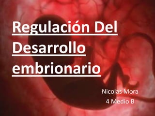 Regulación Del
Desarrollo
embrionario
           Nicolas Mora
            4 Medio B
 