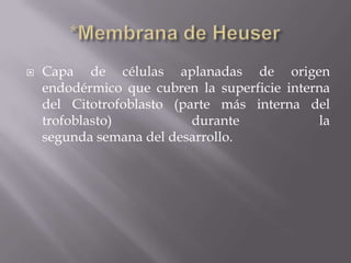    Capa de células aplanadas de origen
    endodérmico que cubren la superficie interna
    del Citotrofoblasto (parte más interna del
    trofoblasto)           durante            la
    segunda semana del desarrollo.
 