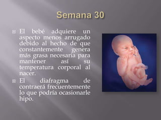    El bebé adquiere un
    aspecto menos arrugado
    debido al hecho de que
    constantemente genera
    más grasa necesaria para
    mantener       así    su
    temperatura corporal al
    nacer.
   El     diafragma      de
    contraerá frecuentemente
    lo que podría ocasionarle
    hipo.
 