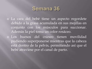    La cara del bebé tiene un aspecto regordete
    debido a la grasa acumulada en sus mejillas en
    conjunto con los músculos para succionar.
    Además la piel toma un color rosáceo.
   Los huesos del cráneo tienen movilidad
    pudiendo superponerse mientras que la cabeza
    está dentro de la pelvis, permitiendo así que el
    bebé atraviese por el canal de parto.
 