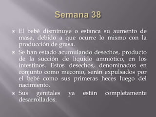    El bebé disminuye o estanca su aumento de
    masa, debido a que ocurre lo mismo con la
    producción de grasa.
   Se han estado acumulando desechos, producto
    de la succión de líquido amniótico, en los
    intestinos. Estos desechos, denominados en
    conjunto como meconio, serán expulsados por
    el bebé como sus primeras heces luego del
    nacimiento.
   Sus genitales ya están completamente
    desarrollados.
 