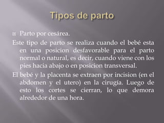   Parto por cesárea.
Este tipo de parto se realiza cuando el bebé esta
   en una posicion desfavorable para el parto
   normal o natural, es decir, cuando viene con los
   pies hacia abajo o en posicion transversal.
El bebé y la placenta se extraen por incision (en el
   abdomen y el utero) en la cirugía. Luego de
   esto los cortes se cierran, lo que demora
   alrededor de una hora.
 