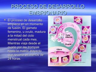 PROCESO DE DESARROLLO
         EMBRIONARIO
 El proceso de desarrollo
  empieza en un momento
  de fusión. El gameto
  femenino, u ovulo, madura
  a la mitad del ciclo
  menstrual cada mes.
  Mientras viaja desde el
  ovario por las trompas
  hasta la matriz, trayecto
  que recorre en menos de
  24 horas.
 