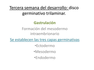 Tercera semana del desarrollo: disco
germinativo trilaminar.
Gastrulación
Formación del mesodermo
intraembrionario
Se establecen las tres capas germinativas
•Ectodermo
•Mesodermo
•Endodermo
 