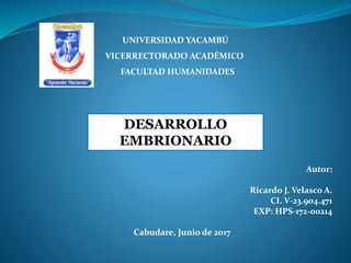 UNIVERSIDAD YACAMBÚ
VICERRECTORADO ACADÉMICO
FACULTAD HUMANIDADES
Autor:
Ricardo J. Velasco A.
CI. V-23.904.471
EXP: HPS-172-00214
Cabudare, Junio de 2017
DESARROLLO
EMBRIONARIO
 