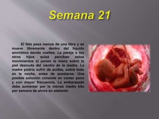 El feto pesa menos de una libra y se
mueve libremente dentro del líquido
amniótico dando vueltas. La pareja o los
otros hijos quizá perciban estos
movimientos si ponen la mano sobre la
piel desnuda del vientre de la madre. La
madre podría sufrir de acidez, sobre todo
en la noche, antes de acostarse. Una
posible solución consiste en comer poco
y con mayor frecuencia. La embarazada
debe aumentar por lo menos medio kilo
por semana de ahora en adelante.
 