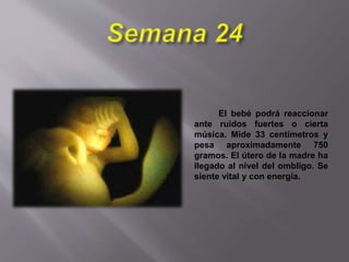 El bebé podrá reaccionar
ante ruidos fuertes o cierta
música. Mide 33 centímetros y
pesa aproximadamente 750
gramos. El útero de la madre ha
llegado al nivel del ombligo. Se
siente vital y con energía.
 