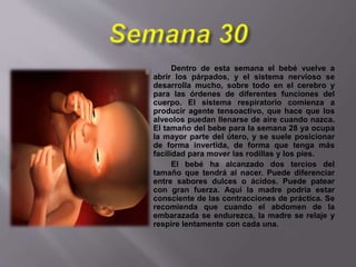 Dentro de esta semana el bebé vuelve a
abrir los párpados, y el sistema nervioso se
desarrolla mucho, sobre todo en el cerebro y
para las órdenes de diferentes funciones del
cuerpo. El sistema respiratorio comienza a
producir agente tensoactivo, que hace que los
alveolos puedan llenarse de aire cuando nazca.
El tamaño del bebe para la semana 28 ya ocupa
la mayor parte del útero, y se suele posicionar
de forma invertida, de forma que tenga más
facilidad para mover las rodillas y los pies.
El bebé ha alcanzado dos tercios del
tamaño que tendrá al nacer. Puede diferenciar
entre sabores dulces o ácidos. Puede patear
con gran fuerza. Aquí la madre podría estar
consciente de las contracciones de práctica. Se
recomienda que cuando el abdomen de la
embarazada se endurezca, la madre se relaje y
respire lentamente con cada una.
 