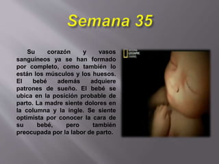 Su corazón y vasos
sanguíneos ya se han formado
por completo, como también lo
están los músculos y los huesos.
El bebé además adquiere
patrones de sueño. El bebé se
ubica en la posición probable de
parto. La madre siente dolores en
la columna y la ingle. Se siente
optimista por conocer la cara de
su bebé, pero también
preocupada por la labor de parto.
 