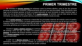 PRIMER TRIMESTRE
Se considera la tercera semana de embarazo como la primera efectiva, pues en las dos primeras
semanas se produce la ovulación y desprendimiento del óvulo que será fecundado. Esta fecundación tiene
lugar ya en la tercera semana: el óvulo y el espermatozoide se unen formando el cigoto mientras bajan a
través de una de las trompas de Falopio. En la cuarta semana, el embrión, que ya mide cerca de cinco
milímetros, se introduce en la pared uterina y comienza a nutrirse a través de esta.
En la quinta semana ya comienza a desarrollar los principales sistemas del embrión como el cerebro,
la médula espinal, el corazón o el tracto gastrointestinal. Esta quinta semana es una de las que cuenta con
mayores riesgos para el correcto desarrollo del bebé, pues hay un riesgo mayor de que se puedan producir
anomalías genéticas por la ingesta de medicamentos, alcohol, drogas o por infecciones como la rubeola.
Durante la sexta y séptima semana se continúan desarrollando rasgos que permiten identificar partes
del embrión como los ojos, los oídos o el corazón, así como las manos y los pies durante la octava
semana. El cerebro del embrión también continúa su desarrollo y se forma el tejido de los distintos huesos.
En la novena semana también se pueden empezar a ver los brazos, los codos, y comienzan a crecer sus
órganos esenciales.
A partir de la décima semana ya no se considera embrión, sino feto. El feto ya mide cerca de 7
centímetros. Durante esta semana también se comienzan a ver los párpados, las orejas y la cara, y la
placenta comienza a nutrir al feto a través del cordón umbilical.
 
