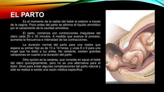 EL PARTO
Es el momento de la salida del bebé al exterior a través
de la vagina. Poco antes del parto se elimina el líquido amniótico
por el vaciamiento de la cavidad amniótica.
El parto, comienza con contracciones irregulares del
útero cada 20 o 30 minutos. A medida que avanza el proceso,
aumenta la frecuencia e intensidad de las contracciones.
La duración normal del parto para una madre que
espera su primer hijo es de 13 a 14 horas, y unas 8 o 9 para una
mujer que ha dado a luz antes. No obstante, existen grandes
variaciones en cuanto a la duración del parto.
Otra opción es la cesárea, que consiste en sacar al bebé
del útero quirúrgicamente, pero no es una alternativa para el
dolor. Sirve para evitar algunas complicaciones del parto natural y
sólo se realiza si existe una razón médica específica.
 