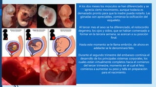 A los dos meses los músculos se han diferenciado y se
aprecia cierto movimiento, aunque todavía es
demasiado pronto para que la madre pueda notarlo. Las
gónadas son apreciables, comienza la osificación del
esqueleto.
Al tercer mes el sexo se ha diferenciado, el notocordio
degenera, los ojos y oídos, que se habían comenzado a
formar en la tercera semana, se acercan a su posición
final.
Hasta este momento se le llama embrión, de ahora en
adelante se le denominará feto.
Durante el segundo trimestre del embarazo continúa el
desarrollo de los principales sistemas corporales, los
cuales están virtualmente completos hacia el comienzo
del tercer trimestre, momento en el cual el feto
comienza a aumentar su peso y talla en preparación
para el nacimiento.
 