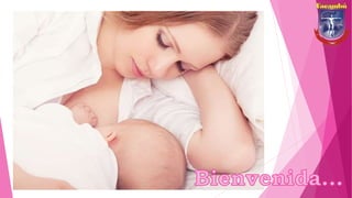 Desarrollo Embrionario