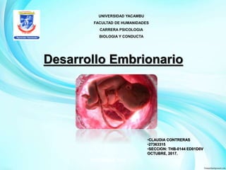 Desarrollo Embrionario
UNIVERSIDAD YACAMBU
FACULTAD DE HUMANIDADES
CARRERA PSICOLOGIA
BIOLOGIA Y CONDUCTA
•CLAUDIA CONTRERAS
•27363315
•SECCION: THB-0144 ED01D0V
OCTUBRE, 2017.
SEPTIEMBRE, 2017.
 