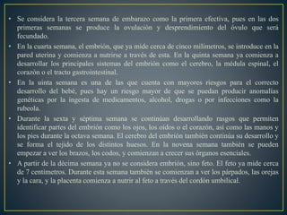 • Se considera la tercera semana de embarazo como la primera efectiva, pues en las dos
primeras semanas se produce la ovulación y desprendimiento del óvulo que será
fecundado.
• En la cuarta semana, el embrión, que ya mide cerca de cinco milímetros, se introduce en la
pared uterina y comienza a nutrirse a través de esta. En la quinta semana ya comienza a
desarrollar los principales sistemas del embrión como el cerebro, la médula espinal, el
corazón o el tracto gastrointestinal.
• En la uinta semana es una de las que cuenta con mayores riesgos para el correcto
desarrollo del bebé, pues hay un riesgo mayor de que se puedan producir anomalías
genéticas por la ingesta de medicamentos, alcohol, drogas o por infecciones como la
rubeola.
• Durante la sexta y séptima semana se continúan desarrollando rasgos que permiten
identificar partes del embrión como los ojos, los oídos o el corazón, así como las manos y
los pies durante la octava semana. El cerebro del embrión también continúa su desarrollo y
se forma el tejido de los distintos huesos. En la novena semana también se pueden
empezar a ver los brazos, los codos, y comienzan a crecer sus órganos esenciales.
• A partir de la décima semana ya no se considera embrión, sino feto. El feto ya mide cerca
de 7 centímetros. Durante esta semana también se comienzan a ver los párpados, las orejas
y la cara, y la placenta comienza a nutrir al feto a través del cordón umbilical.
 