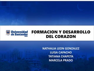 NATHALIA LEON GONZALEZ
LUISA CAPACHO
TATIANA CHAPETA
MARCELA PRADO
FORMACION Y DESARROLLO
DEL CORAZON
 