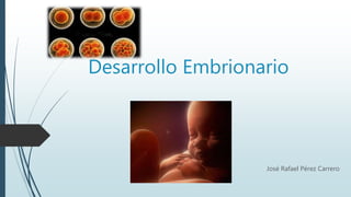 Desarrollo Embrionario
José Rafael Pérez Carrero
 
