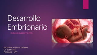 Desarrollo
Embrionario
- ETAPAS DEL EMBRIÓN Y EL FETO -
Estudiante: Angimar Zabaleta
C.I. 26.661.484
Psicología - UNY
 