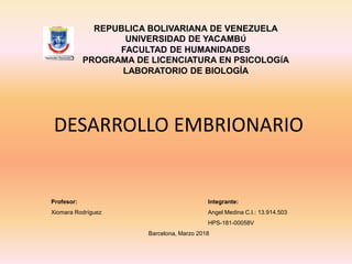 DESARROLLO EMBRIONARIO
Profesor: Integrante:
Xiomara Rodríguez Angel Medina C.I.: 13.914.503
HPS-181-00058V
Barcelona, Marzo 2018
REPUBLICA BOLIVARIANA DE VENEZUELA
UNIVERSIDAD DE YACAMBÚ
FACULTAD DE HUMANIDADES
PROGRAMA DE LICENCIATURA EN PSICOLOGÍA
LABORATORIO DE BIOLOGÍA
 