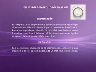 ETAPAS DEL DESARROLLO DEL EMBRIÓN
Segmentación:
Es la repetida división por mitosis del óvulo fecundado hasta llegar
al estado de blástula, dando lugar a numerosos blastómeros.
Puede ser, según la participación de todo el vitelo o la distinción en
formativo y nutritivo, total o parcial; la primera puede ser igual o
desigual, y la segunda discoidal o superficial.
Blastulación:
Son las sucesivas divisiones de la segmentación conducen a una
etapa en la que el cigote ha alcanzado un gran numero de células.
 