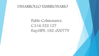 Pablo Colmenarez.
C.I:16.322.127
Exp:HPS-182-00077V
DESARROLLO EMBRIONARIO
 