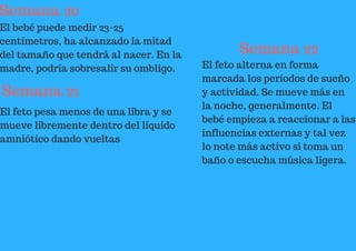 Semana 20
El bebé puede medir 23-25
centímetros, ha alcanzado la mitad
del tamaño que tendrá al nacer. En la
madre, podría sobresalir su ombligo.
Semana 21
El feto pesa menos de una libra y se
mueve libremente dentro del líquido
amniótico dando vueltas
Semana 22
El feto alterna en forma
marcada los períodos de sueño
y actividad. Se mueve más en
la noche, generalmente. El
bebé empieza a reaccionar a las
influencias externas y tal vez
lo note más activo si toma un
baño o escucha música ligera.
 