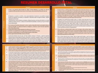 RESUMEN DESARROLLO FETAL
 