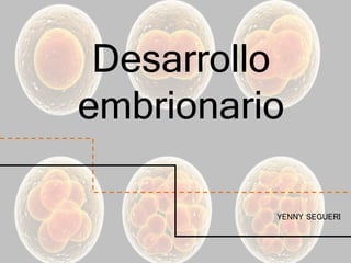 Desarrollo
embrionario
YENNY SEGUERI
 