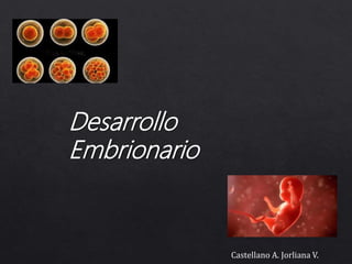 Desarrollo
Embrionario
Castellano A. Jorliana V.
 