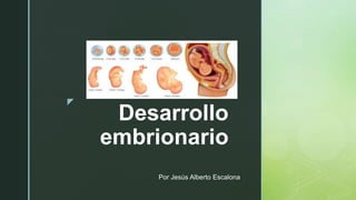 z
Desarrollo
embrionario
Por Jesús Alberto Escalona
 