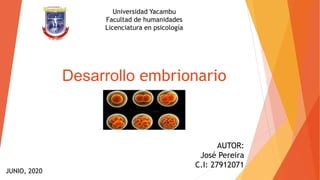 Desarrollo embrionario
Universidad Yacambu
Facultad de humanidades
Licenciatura en psicología
JUNIO, 2020
AUTOR:
José Pereira
C.I: 27912071
 
