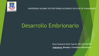 Desarrollo Embrionario
Paula Stephanie Bello Capriles HPS-202-00038V
Asignatura: Biología y Conducta-Laboratorio.
UNIVERSIDAD YACAMBÚ VICE-RECTORADO ACADÉMICO FACULTAD DE HUMANIDADES
 