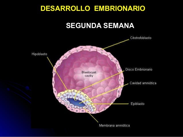 Imagen relacionada